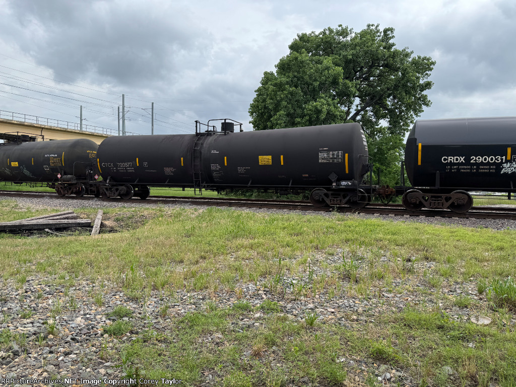 CTCX 720577